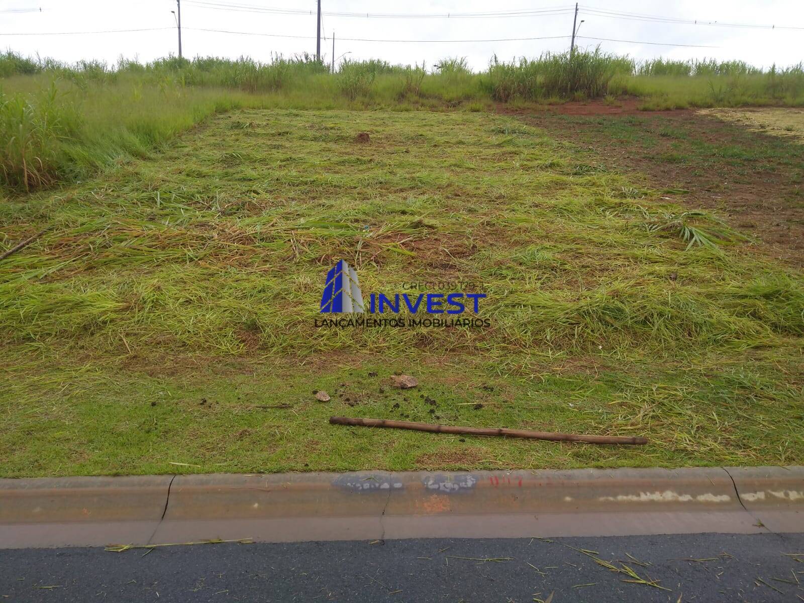 Terreno, 250 m² - Foto 1